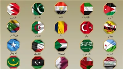  خبير: العرب مطالبون بتفعيل قوة الردع الجماعي في مواجهة الخطر الصهيوني 