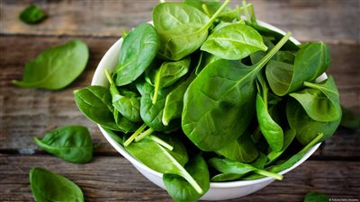  السبانخ تسبب التجلطات وحصوات الكلى والأنيميا 