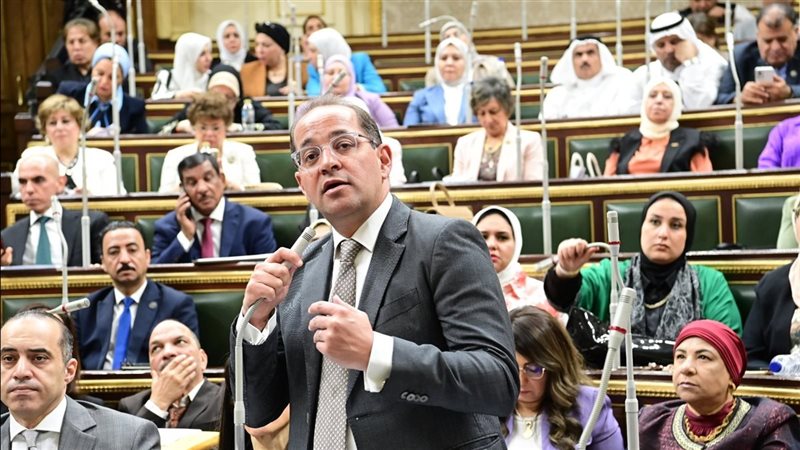 وزير المالية أمام