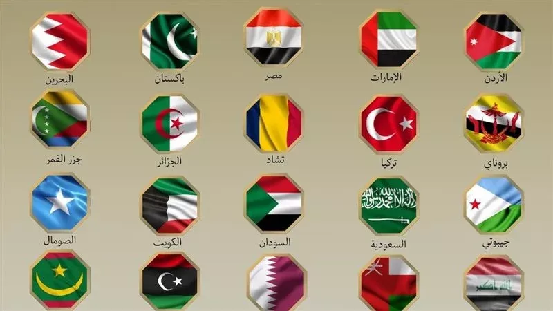 الدول الصادرة للبيان،فيتو