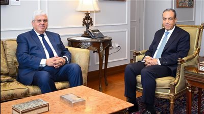 فتح فروع للجامعات المصرية بالخارج، تفاصيل لقاء وزير الخارجية مع وزير التعليم العالى