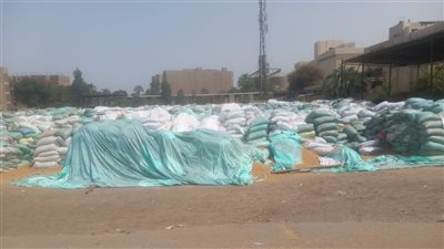 محافظ أسيوط: توريد 182 ألف طن من القمح حتى الآن