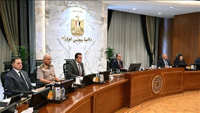 الوزراء يوافق على مشروع عفو رئاسي بمناسبة الذكرى الـ12 لثورة 30 يونيو