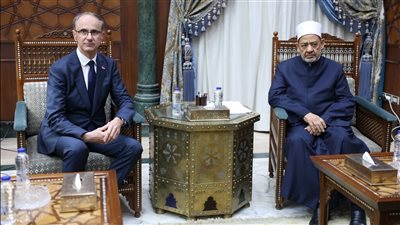 رئيس وزراء صربيا للإمام الأكبر: نسعى لتعزيز علاقتنا بالأزهر وندعم حقوق الشعب الفلسطيني