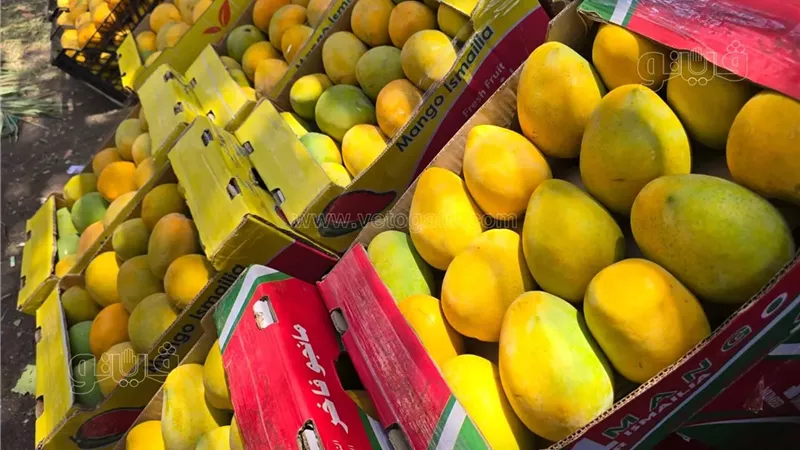 سعر المانجو، فيتو