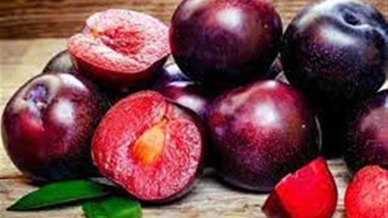 البرقوق الأحمر، فيتو