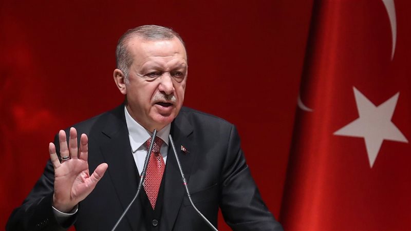 أردوغان، فيتو 