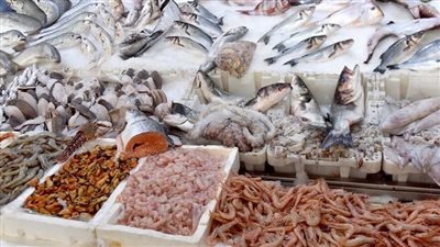 سعر السمك اليوم، انخفاض كبير في 5 أصناف منها المكرونة وقشر بياض وارتفاع البلطي 