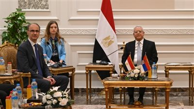 تفاصيل لقاء حنفي جبالي مع رئيس وزراء صربيا