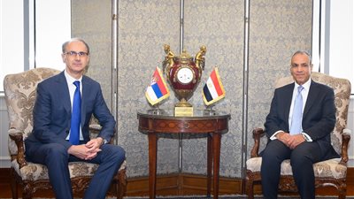 وزير الخارجية يحذر من خطورة انزلاق المنطقة إلى الفوضى