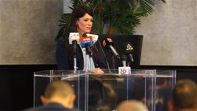 مصر الأولى أفريقيا في جذب الاستثمار الأجنبي المباشر خلال 2024 بنسبة نمو 373%