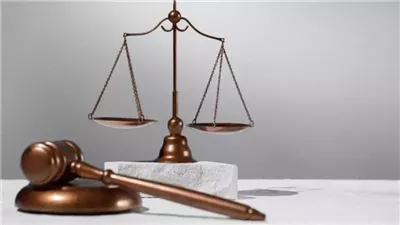 تأجيل نظر استئناف المتهم بالاعتداء على الطفل ياسين إلى آخر الجلسة 