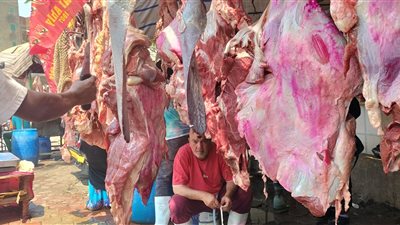 انخفاض الضاني والبتلو، أسعار اللحوم في الأسواق اليوم الإثنين