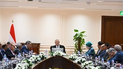 رئيس مجلس النواب يلتقي السفراء المنقولين لرئاسة البعثات الدبلوماسية المصرية بالخارج 