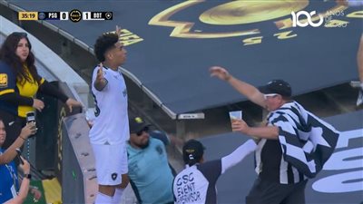 بوتافوجو يباغت سان جيرمان بهدف مثير قبل نهاية الشوط الأول بكأس العالم للأندية (فيديو)