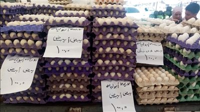 تخفيضات تصل لـ 30% في أسواق اليوم الواحد بالدقهلية (صور) 