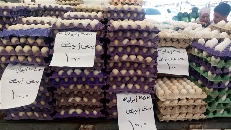 سعر طبق البيض 100
