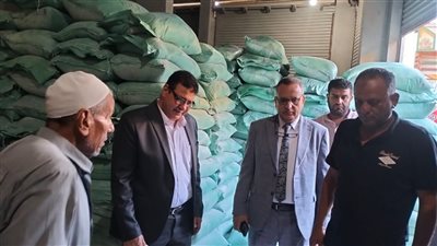التحفظ على 10 أطنان دقيق وتحرير 39 محضرا في حملات تموينية بالدقهلية 