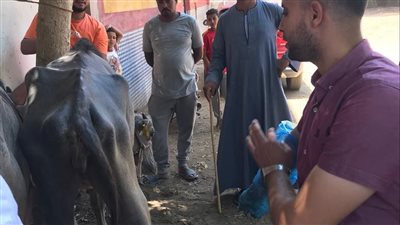 الطب البيطري بسوهاج يطلق قافلة طبية بيطرية بقرية تونس