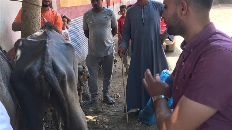 جانب من القافلة
