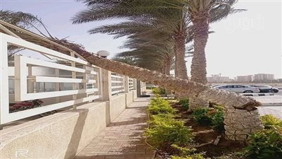 سقوط أعمدة إنارة وأشجار بسبب العاصفة الرملية في الشرقية|فيديو