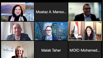 التعاون الدولي: قطاع الطاقة المتجددة أحد أهم محاور استراتيجية التحول الأخضر