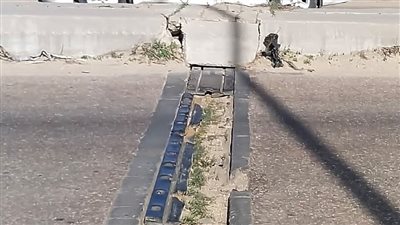 طلب إحاطة لإعادة تأهيل الطريق الرابط بين الدولي الساحلي وشارع ٤٥ بالإسكندرية