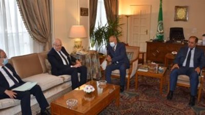 أبو الغيط لـ