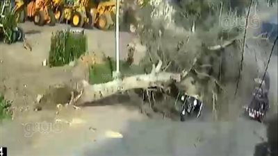 ننشر أسماء مصابي حادث سقوط شجرة على 3 تكاتك بسبب شدة الرياح في الغربية