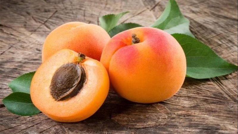 تفسير رؤية المشمش