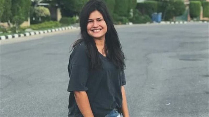 الفنانة ديانا هشام