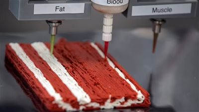 بطابعة ثلاثية الأبعاد.. تصنيع أضخم شريحة لحم في العالم 