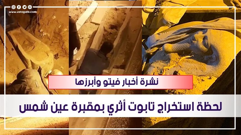 نشرة أخبار فيتو
