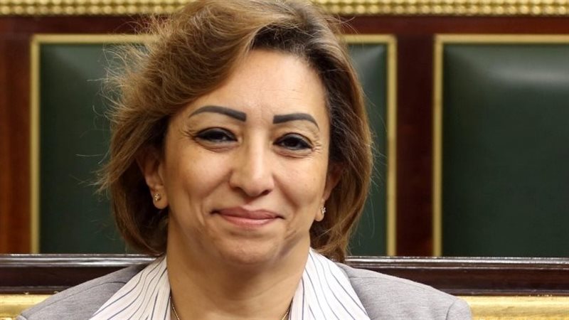 النائبة مها عبد الناصر