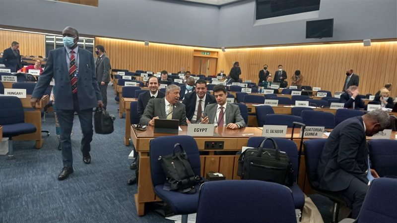 انتخابات المنظمة