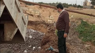  إعدام 12.5 طن كيلو تين فاسد بالإسماعيلية | صور 