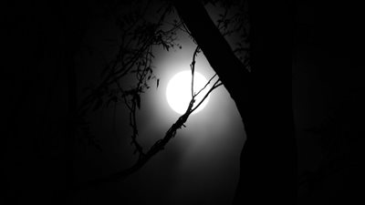 تفسير حلم الظلام في المنام وعلاقته بالإصابة بالاكتئاب وعدم  مواجهة الضغوط