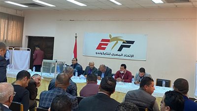 محمد مصطفى رئيسا لاتحاد التايكوندو