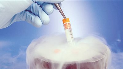 بزنس‭ ‬نقل‭ ‬الأجنة، د‭. ‬أحمد‭ ‬كريمة‭:‬ تأجير‭ ‬البويضات‭ ‬والأرحام ‭ ‬‮«‬زنا‮»‬، عالم‭ ‬بالأزهر:‭ ‬قبول‭ ‬الزوج‭ ‬لتبادل‭ ‬البويضات‭ ‬يوقعه‭ ‬في‭ ‬حكم‭ ‬‮ «الديوث‮»‬