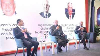  هانى برزى: ٤ مليارات دولار حجم صادرات مصر من المنتجات الغذائية