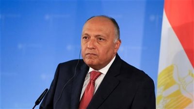 مصر ترفض التدخل غير المبرر للحكومة الألمانية في الشأن الداخلي المصري
