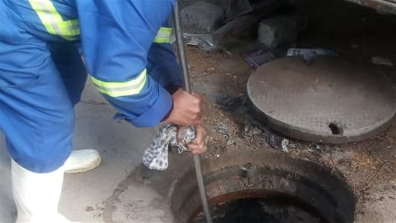 تطهير الشنايش بالإسكندرية