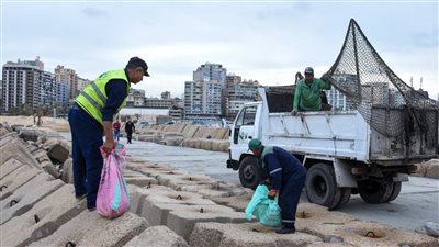 أكياس لحوم تطفو على سطح البحر بالإسكندرية | صور