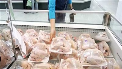 أرخص سعر للدواجن فى مصر.. تعرف عليها 