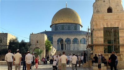 جولات استفزازية.. مستوطنون يقتحمون باحات المسجد الأقصى