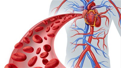 أسباب هبوط الدورة الدموية.. وطرق علاجها بالأطعمة