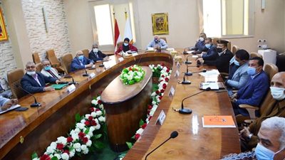 محافظ الوادي الجديد يصدر عددا من القرارات لمواجهة فيروس كورونا