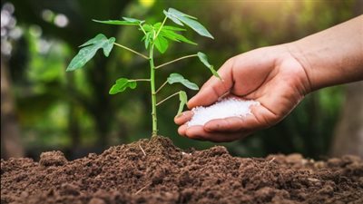 وفقا للقانون.. لا يجوز صنع المخصبات الزراعية أو بيعها دون ترخيص