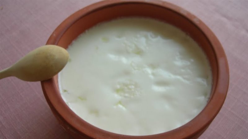 الزبادي
