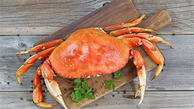 طريقة تنظيف وعمل الكابوريا 